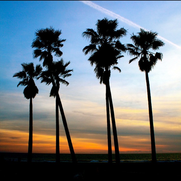 carlsbadclutter